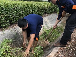 กองกลาง,มหาวิทยาลัยพะเยา,ร่วมกิจกรรม,Big,Cleaning,Day,เพื่อเตรียมความพร้อมของสถานที่ภายในมหาวิทยาลัยพะเยา,ให้สะอาดและมีความเป็นระเบียบเรียบร้อยก่อนถึงวันพระราชทานปริญญาบัตร,ประจำปีการศึกษา,2559