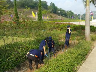 กองกลาง,มหาวิทยาลัยพะเยา,ร่วมกิจกรรม,Big,Cleaning,Day,เพื่อเตรียมความพร้อมของสถานที่ภายในมหาวิทยาลัยพะเยา,ให้สะอาดและมีความเป็นระเบียบเรียบร้อยก่อนถึงวันพระราชทานปริญญาบัตร,ประจำปีการศึกษา,2559