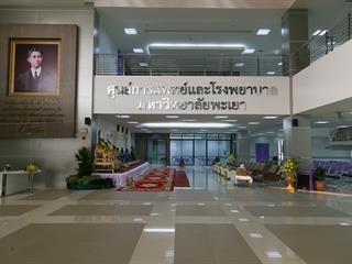 ศูนย์การแพทย์และโรงพยาบาลมหาวิทยาลัยพะเยา,,จัดพิธีบวงสรวง,พระราชานุสาวรีย์สมเด็จพระมหิตลาธิเบศร,อดุลยเดชวิกรม,พระบรมราชชนก,ประทับคู่,สมเด็จพระศรีนครินทราบรมราชชนนี,และพิธีทำบุญอาคารศูนย์การแพทย์และโรงพยาบาลมหาวิทยาลัยพะเยา,เพื่อความเป็นสิริมงคล,ณ,ศูนย์การแพทย์และโรงพยาบาลมหาวิทยาลัยพะเยา