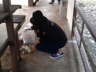 มหาวิทยาลัยพะเยา,ขอชื่นชม,นิสิตจากชมรมสายใยรักนิตินิวส์และนิสิตจิตอาสา,มหาวิทยาลัยพะเยาทุกคน,ที่ได้รวมกลุ่มกัน,เพื่อเก็บขยะบริเวณ,สถานีรอรถโดยสารสาธารณะและศาลาหน้าป่าไม้,