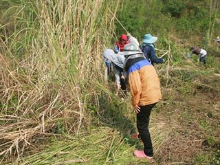 มหาวิทยาลัยพะเยาจัดกิจกรรม,“พัฒนาอ่างเก็บน้ำห้วยนาปอย”,ภายใต้โครงการจิตอาสามหาวิทยาลัยเพื่อชุมชน