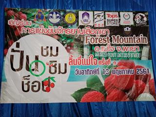 การแข่งขันจักรยานเสือภูเขา,ครอสคันทรี,“ชม,ชิม,ช็อป,ลิ้นจี่แม่ใจ,ครั้งที่,1"