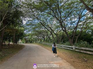 ผลการตัดสินอย่างเป็นทางการ,กับการประกวดภาพถ่ายในหัวข้อ,"UP,Green,มหาลัยสีเขียว"