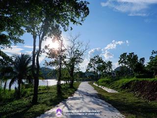 ผลการตัดสินอย่างเป็นทางการ,กับการประกวดภาพถ่ายในหัวข้อ,"UP,Green,มหาลัยสีเขียว"