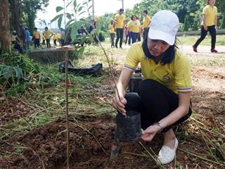 คณะรัฐศาสตร์และสังคมศาสตร์,มหาวิทยาลัยพะเยา,ร่วมกิจกรรมปลูกต้นไม้,เฉลิมพระเกียรติสมเด็จพระเจ้าอยู่หัวมหาวชิราลงกรณ,บดินทรเทพยวรางกูร,เนื่องในโอกาสมหามงคลเฉลิมพระชนมพรรษา,66,พรรษา