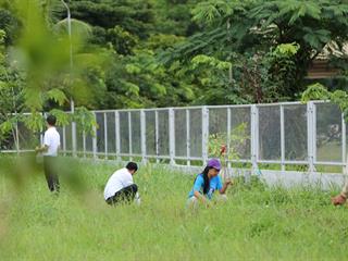 กิจกรรม,ปลูกต้นไม้ประจำคณะกรรมการกิจการนิสิต