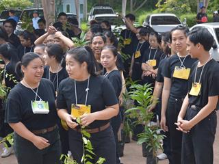 กิจกรรมรับน้องแบบสร้างสรรค์,พัฒนาพื้นที่,โดยร่วมกันปลูกต้นไม้,รอบบริเวณวิทยาลัยพลังงานและสิ่งแวดล้อม