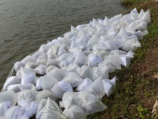 มหาวิทยาลัยพะเยา,จัดกิจกรรมปล่อยพันธ์ปลาน้ำจืด,10,000,ตัว,เฉลิมพระเกียรติ,เนื่องในวันเฉลิมพระชนมพรรษา,86,พรรษา,สมเด็จพระนางเจ้าสิริกิติ์,พระบรมราชินีนาถในรัชกาลที่,9