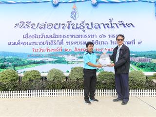 มหาวิทยาลัยพะเยา,จัดกิจกรรมปล่อยพันธ์ปลาน้ำจืด,10,000,ตัว,เฉลิมพระเกียรติ,เนื่องในวันเฉลิมพระชนมพรรษา,86,พรรษา,สมเด็จพระนางเจ้าสิริกิติ์,พระบรมราชินีนาถในรัชกาลที่,9