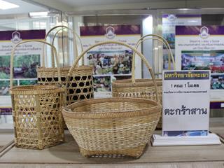 ขอเชิญชมนิทรรศการ,1,คณะ,1,โมเดล,,ศูนย์บรรณสารและสื่อการศึกษา,มหาวิทยาลัยพะเยา