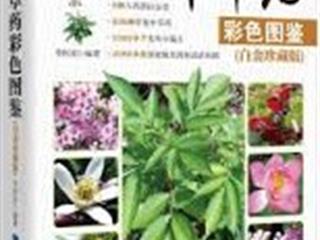 หนังสือภาษาต่างประเทศใหม่,จัดซื้องาน,BOOK,FAIR,