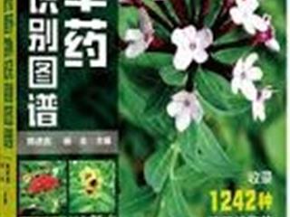 หนังสือภาษาต่างประเทศใหม่,จัดซื้องาน,BOOK,FAIR,