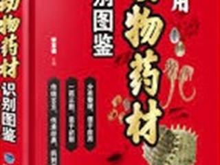 หนังสือภาษาต่างประเทศใหม่,จัดซื้องาน,BOOK,FAIR,
