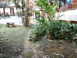 รักษาการแทนอธิการบดี,พร้อมคณะผู้บริหาร,ลงพื้นที่ตรวจโรงอาหาร,เพื่อสำรวจความเรียบร้อย,พร้อมเตรียมปรับปรุงภูมิทัศน์ให้สวยงามน่าอยู่ยิ่งขึ้น