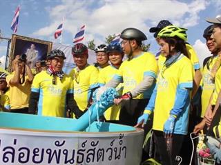 คณะผู้บริหาร,ม.พะเยา,ร่วมปั่นจักรยาน,ในกิจกรรมปั่นจักรยานเฉลิมพระเกียรติ,,"อุ่นไอรัก,คลายความหนาว,สายน้ำแห่งรัตนโกสินทร์",วันอาทิตย์ที่,9,ธ.ค.,2561