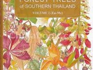 หนังสือภาษาต่างประเทศใหม่ประจำสัปดาห์,จัดซื้องาน,BOOK,FAIR