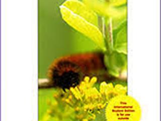 หนังสือภาษาต่างประเทศใหม่,พร้อมให้บริการ