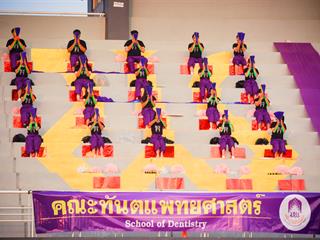 UP,Spirit,Cheer,2018
