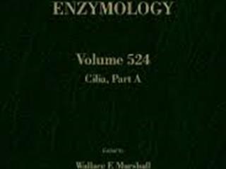 บริการหนังสืออิเล็กทรอนิกส์,(e-book),