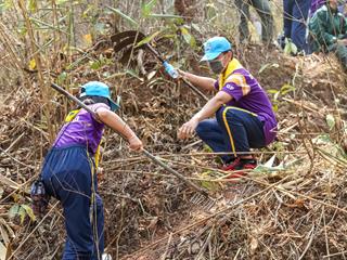 จิตอาสา,ม.พะเยา,ร่วมสร้างแนวกันไฟ,“วนอุทยานร่องคำหลวง”