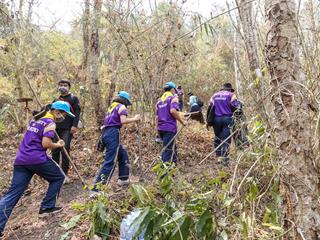 จิตอาสา,ม.พะเยา,ร่วมสร้างแนวกันไฟ,“วนอุทยานร่องคำหลวง”