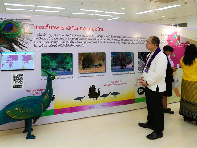 มหาวิทยาลัยพะเยา,ร่วมกับสำนักงานสภาพัฒนาการเศรษฐกิจและสังคมแห่งชาติ,ผลักดันพะเยาเป็นเมืองนกยูงไทยระดับโลก,เพื่อพัฒนาล้านนาตะวันออกสู่การท่องเที่ยวเศรษฐกิจสร้างสรรค์