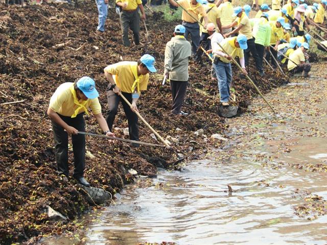 เข้าร่วมโครงการจิตอาสาพระราชทาน,"เราทำความดีด้วยหัวใจ",