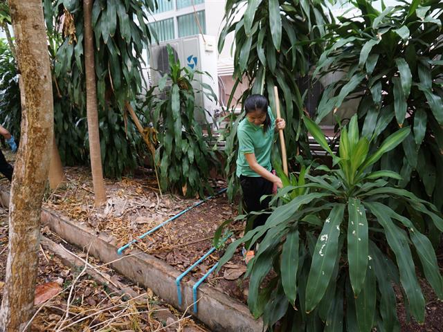 ศูนย์บรรณสารและสื่อการศึกษา,มหาวิทยาลัยพะเยา,ลงพื้นที่ทำกิจกรรม,Big,Cleaning,Day,และกิจกรรม,7,ส.
