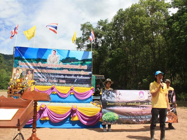 "ปลูกป่าปล่อยเค่า",คืนสู่ป่าต้นน้ำ