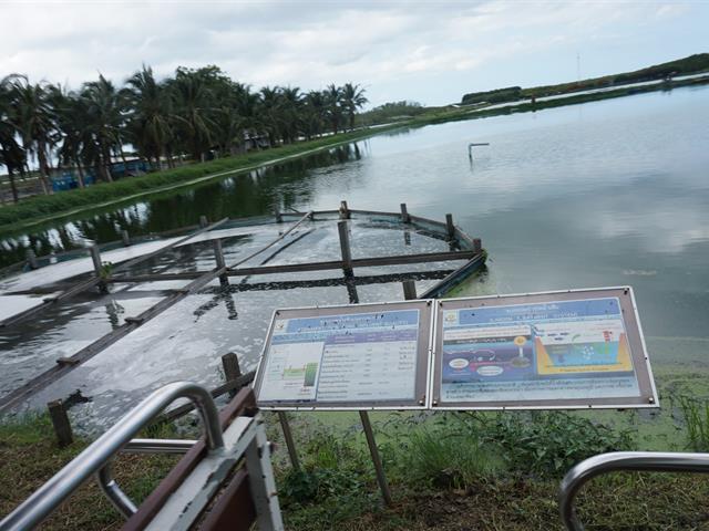 ศูนย์บรรณสารและสื่อการศึกษา,มหาวิทยาลัยพะเยา,ศึกษาดูงานโครงการศึกษาวิจัยและพัฒนาสิ่งแวดล้อมแหลมผักเบี้ย,อันเนื่องมาจากพระราชดำริ,บ้านแหลม,จังหวัดเพชรบุรี