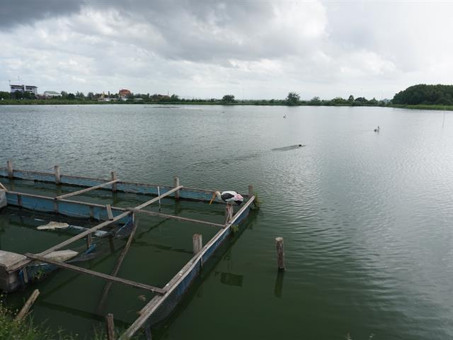 ศูนย์บรรณสารและสื่อการศึกษา,มหาวิทยาลัยพะเยา,ศึกษาดูงานโครงการศึกษาวิจัยและพัฒนาสิ่งแวดล้อมแหลมผักเบี้ย,อันเนื่องมาจากพระราชดำริ,บ้านแหลม,จังหวัดเพชรบุรี
