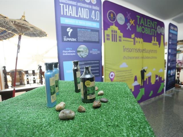กิจกรรม,“UP,TALENT,MOBILITY,DAY,and,ROADSHOW,2019,ครั้งที่,3”