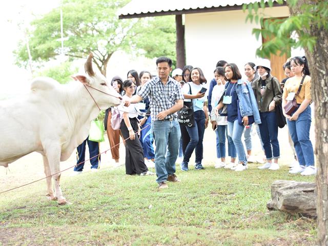 คณะเกษตรศาสตร์และทรัพยากรธรรมชาติ,ม.พะเยา,จัดกิจกรรม,",สืบสานภูมิปัญญาและวัฒนธรรมการเลี้ยงและการคัดเลือกโคเนื้อพื้นเมืองขาวล้านนาของจังหวัดพะเยา,"