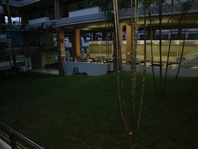อธิการบดีมหาวิทยาลัยพะเยา,พร้อมคณะผู้บริหารลงพื้นที่สำรวจอาคารฟ้ามุ่ย,แนวกันไฟ,และการปรับปรุงภูมิทัศน์โรงอาหารอาคารเรียนรวม(CE)