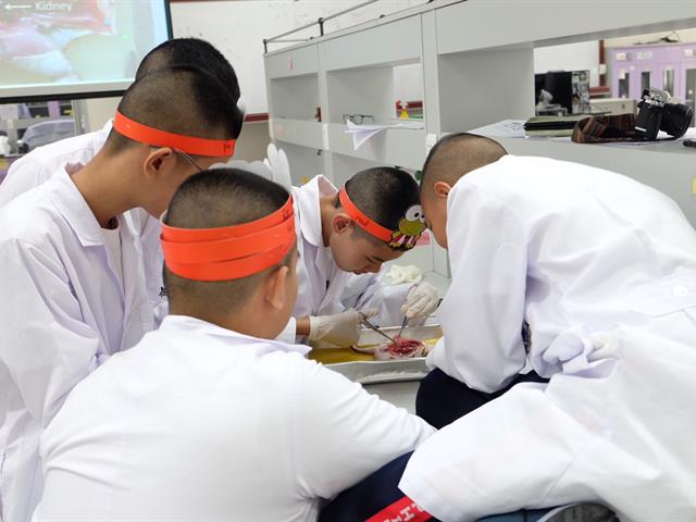 คณะวิทยาศาสตร์,มหาวิทยาลัยพะเยา,ได้ดำเนินกิจกรรม,ค่ายมหาวิทยาลัย,โรงเรียนพิริยาลัย,จังหวัดแพร่