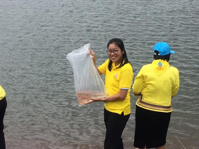 สำนักงานสภามหาวิทยาลัยพะเยาเข้าร่วมงานโครงการสัปดาห์จิตอาสา,“เราทำความดีด้วยหัวใจ”