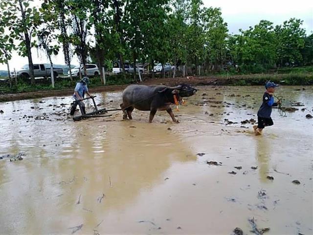 คณะเกษตรศาสตร์และทรัพยากรธรรมชาติ,ม.พะเยา,เข้าร่วมสนับสนุนกิจกรรม,"โครงการโรงเรียนเกษตรกร"