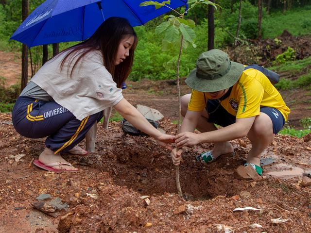 คณะทันตแพทยศาสตร์,มหาวิทยาลัยพะเยา,จัดกิจกรรมปลูกต้นไม้เฉลิมพระเกียรติ,เนื่องในโอกาสวันเฉลิมพระชนมพรรษา,พระบาทสมเด็จพระเจ้าอยู่หัว,ครบ,67,พรรษา