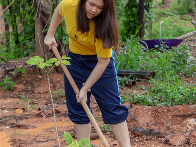 คณะทันตแพทยศาสตร์,มหาวิทยาลัยพะเยา,จัดกิจกรรมปลูกต้นไม้เฉลิมพระเกียรติ,เนื่องในโอกาสวันเฉลิมพระชนมพรรษา,พระบาทสมเด็จพระเจ้าอยู่หัว,ครบ,67,พรรษา