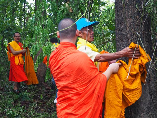 คณะรัฐศาสตร์และสังคมศาสตร์,มหาวิทยาลัยพะเยา,จัดโครงการบวชต้นไม้,เพื่ออนุรักษ์ป่า,อนุรักษ์น้ำ,:,จากแรงศรัทธาสู่การบวชป่าชุมชน