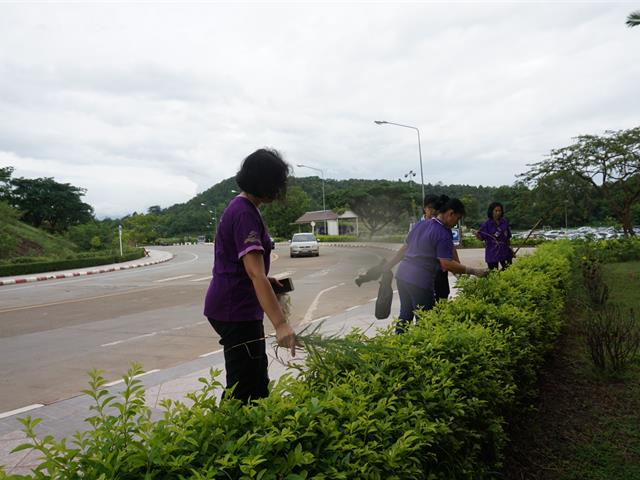 ศูนย์บรรณสารและสื่อการศึกษา,จัดกิจกรรม,Big,Cleaning,Day,และกิจกรรม,7,ส.,เตรียมความพร้อมเข้ารับการตรวจประเมินสำนักงานสีเขียว