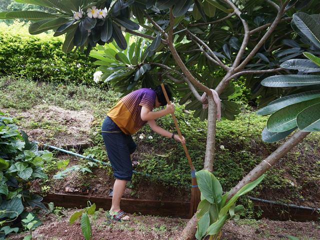 ศูนย์บรรณสารและสื่อการศึกษา,จัดกิจกรรม,Big,Cleaning,Day,และกิจกรรม,7,ส.,เตรียมความพร้อมเข้ารับการตรวจประเมินสำนักงานสีเขียว