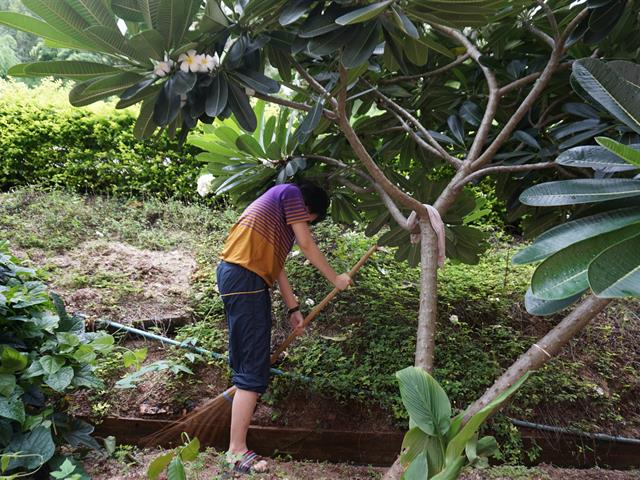 ศูนย์บรรณสารและสื่อการศึกษา,จัดกิจกรรม,Big,Cleaning,Day,และกิจกรรม,7,ส.,เตรียมความพร้อมเข้ารับการตรวจประเมินสำนักงานสีเขียว