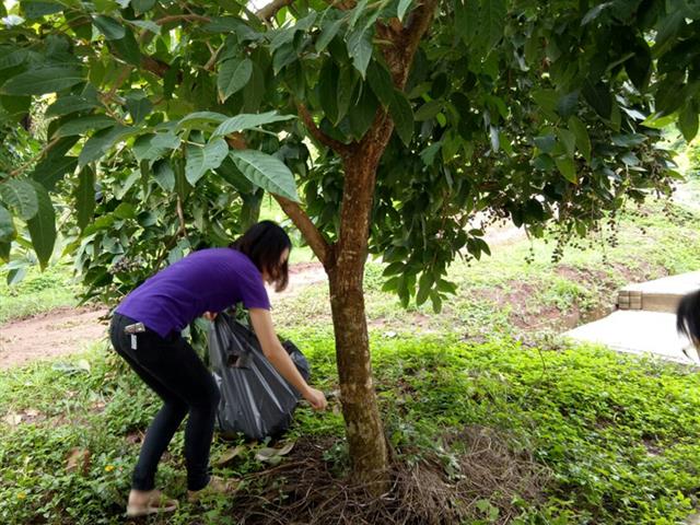 ศูนย์บรรณสารและสื่อการศึกษา,จัดกิจกรรม,Big,Cleaning,Day,และกิจกรรม,7,ส.,เตรียมความพร้อมเข้ารับการตรวจประเมินสำนักงานสีเขียว