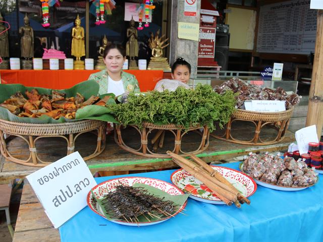 ม.พะเยาจัดกิจกรรมอนุรักษ์สืบสานวัฒนธรรมประเพณีพื้นบ้านช่วยกระตุ้นเศรษฐกิจชาวบ้านท่าวังทอง