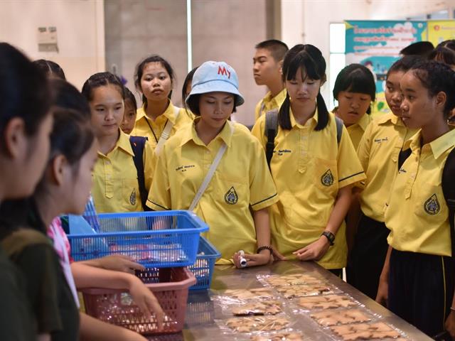 คณะเกษตรศาสตร์และทรัพยากรธรรมชาติ,ม.พะเยา,จัดกิจกรรม,",สัปดาห์วิทยาศาสตร์,",พบกับกิจกรรม,ท่องโลกเกษตร