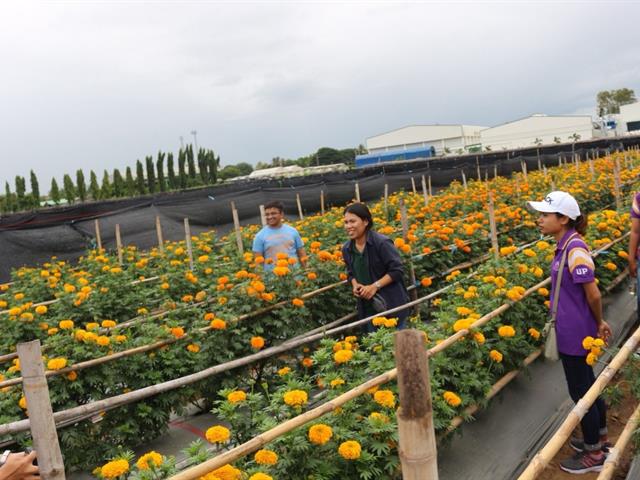 ,,,นิสิตสาขาวิชาเกษตรศาสตร์,ชั้นปีที่,4,คณะเกษตรศาสตร์และทรัพยากรธรรมชาติ,ม.พะเยา,ศึกษาดูงานในสถานประกอบการ,เพื่อเพิ่มพูนประสบการณ์วิชาชีพด้านการเกษตร