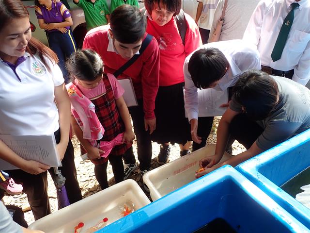 คณะเกษตรศาสตร์และทรัพยากรธรรมชาติ,ม.พะเยา,จัดโครงการ,",อบรมการเลี้ยงปลาสวยงามเชิงปฏิบัติ,"