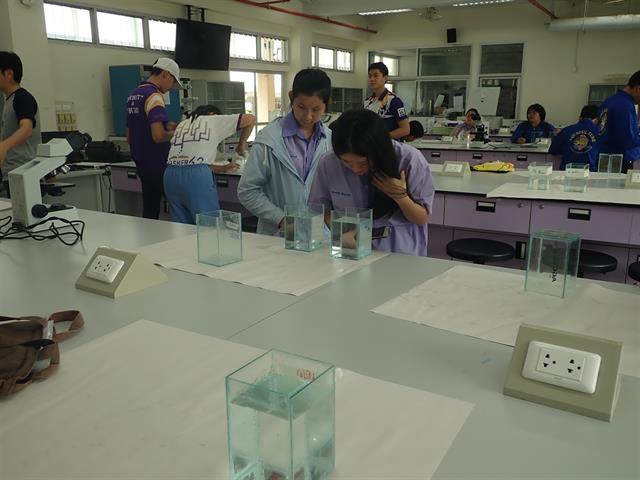 คณะเกษตรศาสตร์และทรัพยากรธรรมชาติ,ม.พะเยา,จัดโครงการ,",อบรมการเลี้ยงปลาสวยงามเชิงปฏิบัติ,"