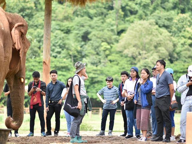 นิสิตคณะนิติศาสตร์ร่วมกันจัดโครงการ,สายใยรักนักกฎหมายอนุรักษ์ธรรมชาติเพื่อช้างไทย
